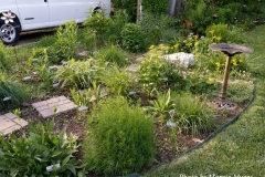 2016-05-gathering-dawn-weber-yard-02