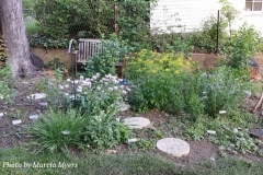 2016-05-gathering-dawn-weber-yard-05