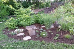 2016-05-gathering-dawn-weber-yard-07
