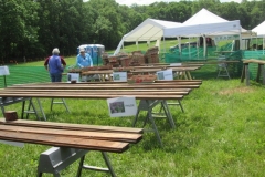 WO-SNRPlantSale-May2017_03