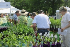 WO-SNRPlantSale-May2017_04