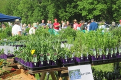 WO-SNRPlantSale-May2017_06