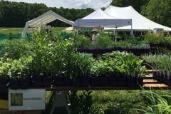 WO-SNRPlantSale-May2017_08