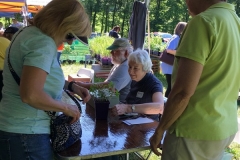 WO-SNRPlantSale-May2017_13