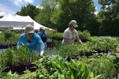 WO-SNRPlantSale-May2017_14