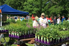 WO-SNRPlantSale-May2017_16