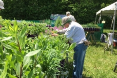WO-SNRPlantSale-May2017_17