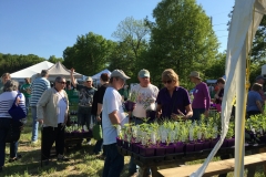 plant-sale-may-2016-06.JPG