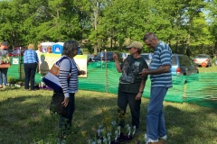 plant-sale-may-2016-07.JPG