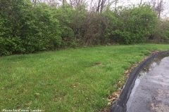 2017_Blades_elementary_Insectary_garden_01