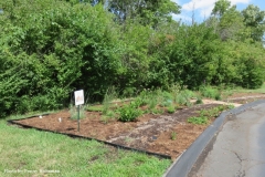 2017_Blades_elementary_Insectary_garden_02