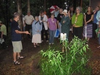Rain gardens