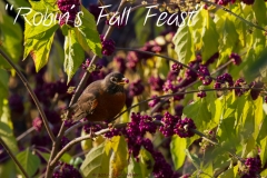 2016_contest_Weber_Robins_fall_feast