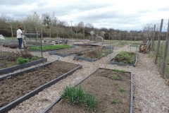 2017_Town_and_Country_Community_garden_01
