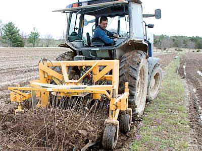 Harvesting tree seedlings at the Missouri state tree nursery