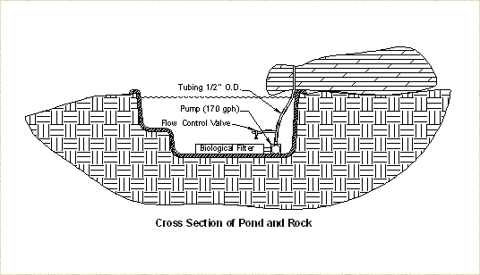 Diagram of the Terpstra's bubbler that has attracted so many diverse birds