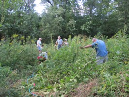 Wild Ones members dig prairie plants