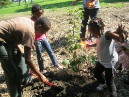 Planting the tree in Wangari Maathai's honor