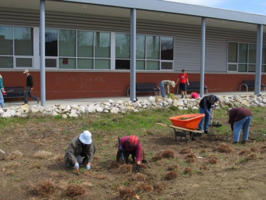 Crossroads raingarden