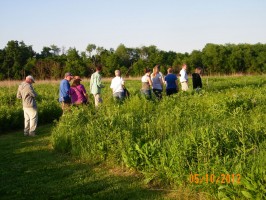 Touring the Heartland Prairie, near Alton, IL