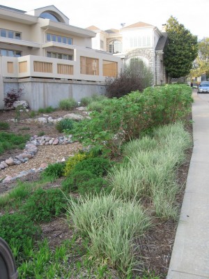 Rainscaping in the Sommet Place subdivision