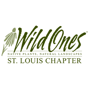Wild Ones monthly gathering - nursery tour at Creve Coeur Park