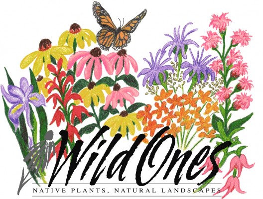 Wild for Monarchs logo