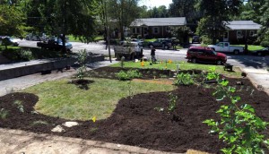 Site of the 2013 Landscape Challenge after the planting