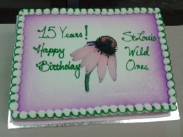 Cake to celebrate the 15th anniversary of the St. Louis chapter of Wild Ones