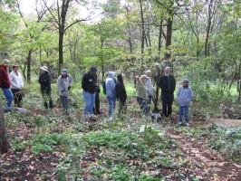People on a wildflower tour in the woods