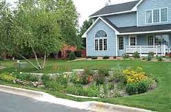 A residential raingarden