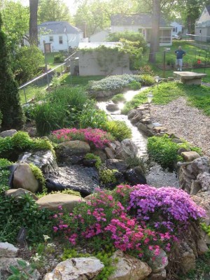 Water feature surrounded by native plants in the Leahys' backyard
