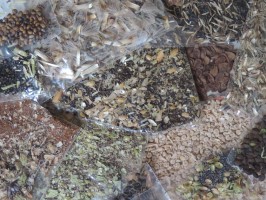 Native plant seeds in plastic bags