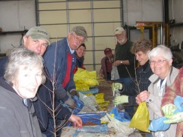 Webster Groves Garden Club members packing tree seedlings for distribution to first graders in the Webster Groves School District