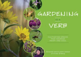 Gardening Is A Verg - book cover of a collection of essays by Cindy Gilberg