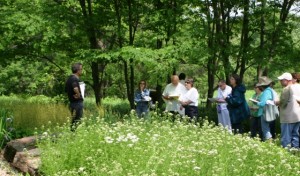 Scott Woodbury talks about groundcovers at the Native Plant School 