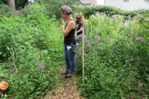 Touring a yard with native plants at the July 2015 Wild Ones meeting