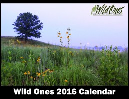 Wild-Ones-2016-Calendar-Cover-Page