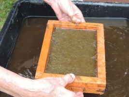 The mould and deckle is lifted from the papermaking slurry, trapping the fibers in the frame. 