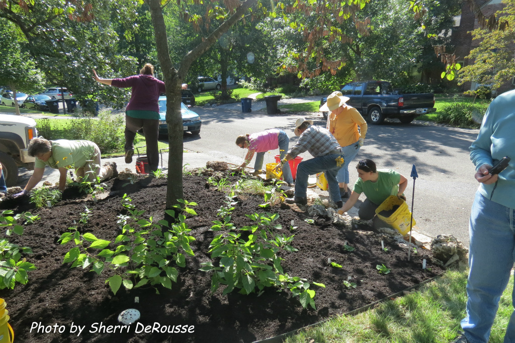 Volunteers-Planting-Native-Plants-Photo-Sherri-DeRousse – Wild Ones St ...