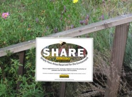 share_yard_sign