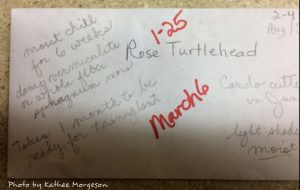 envelope with plant seed information