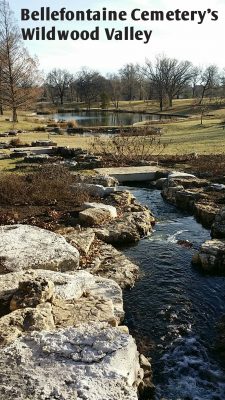 Rocks and water path