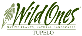 Tupelo Wild Ones Spring Wildflowers