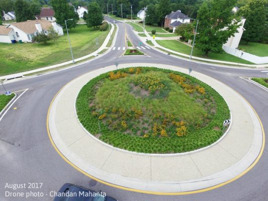Native plants in traffic roundabout