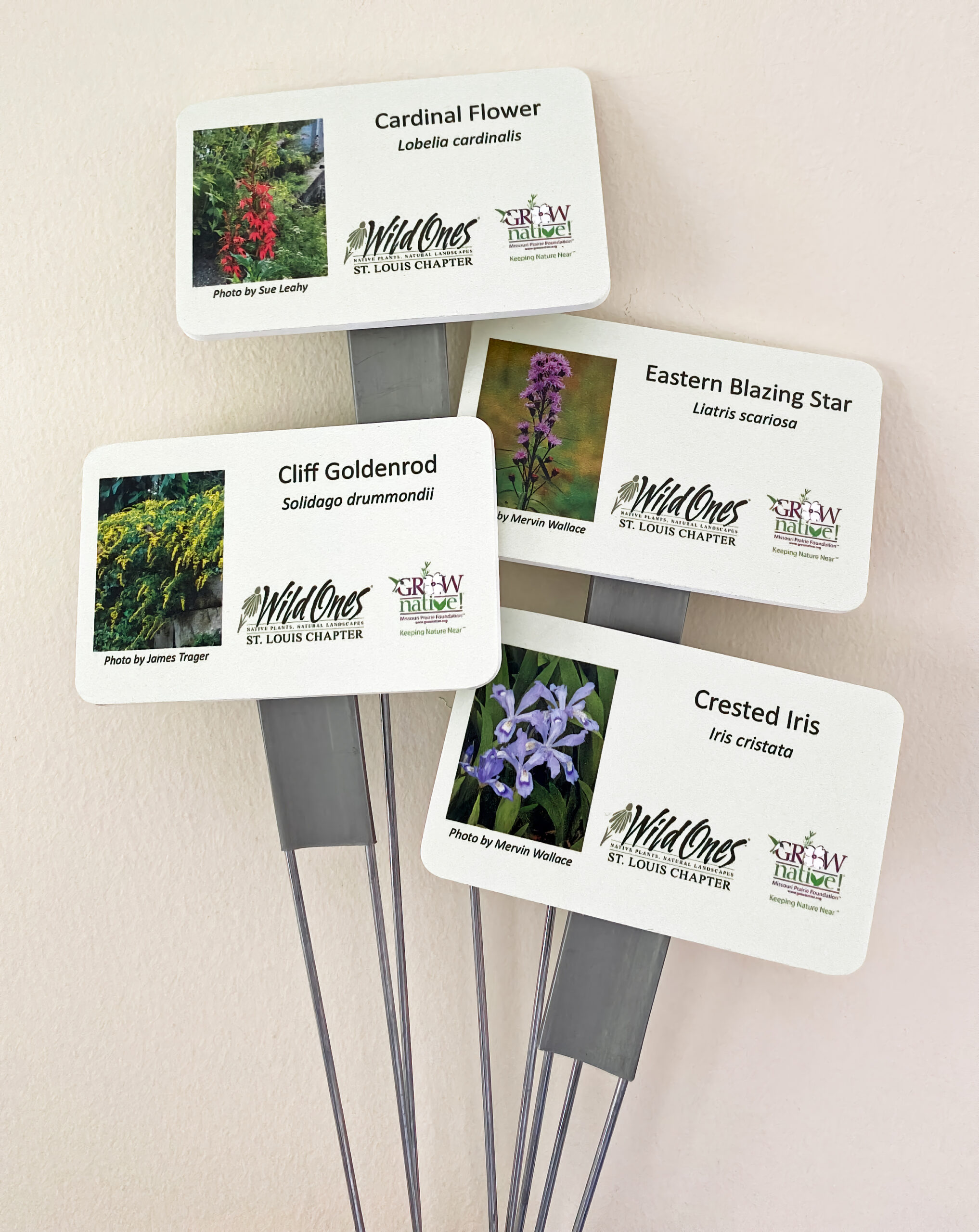 Native Plant ID Tags update new tags have arrived Wild Ones St Louis